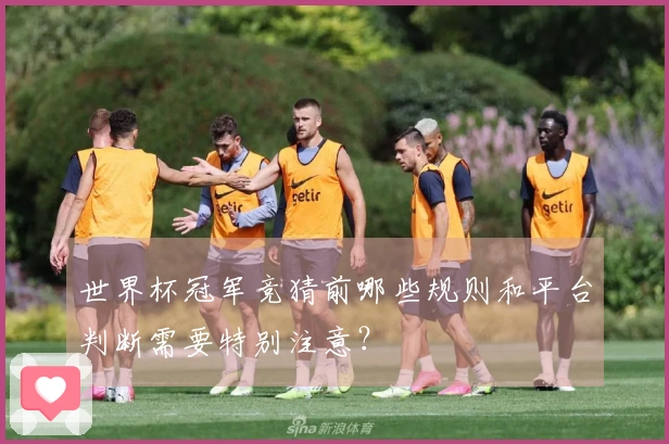 世界杯冠军竞猜前哪些规则和平台判断需要特别注意？