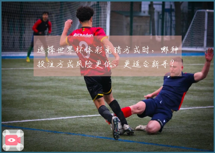 选择世界杯体彩竞猜方式时，哪种投注方式风险更低、更适合新手？