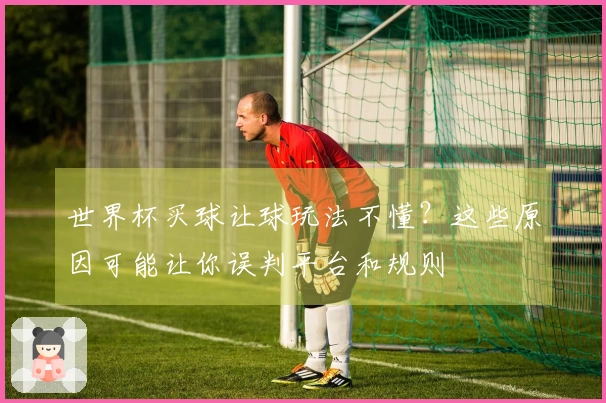 世界杯买球让球玩法不懂？这些原因可能让你误判平台和规则