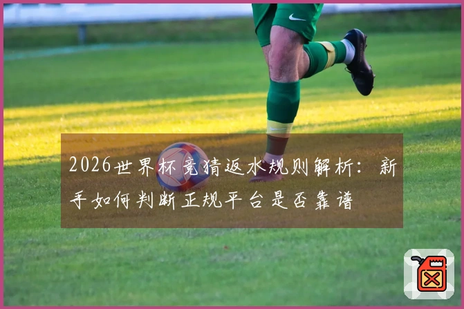 2026世界杯竞猜返水规则解析：新手如何判断正规平台是否靠谱
